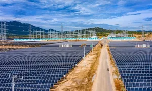 Chủ đầu tư Nhà máy điện mặt trời Trung Nam - Thuận Nam báo lỗ gần 600 tỷ đồng