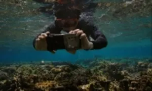 Công nghệ camera Samsung hỗ trợ phục hồi hơn 1 ha san hô Công nghệ camera Samsung hỗ trợ phục hồi hơn 1 ha san hô