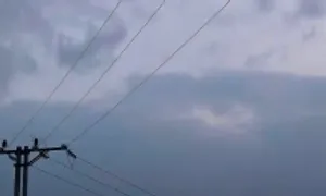Ba học sinh bị điện phóng khi gỡ diều bằng gậy sắt Ba học sinh bị điện phóng khi gỡ diều bằng gậy sắt