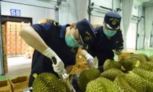 Vì sao Trung Quốc 'bật đèn xanh' cho sầu riêng Thái Lan? Vì sao Trung Quốc 'bật đèn xanh' cho sầu riêng Thái Lan?