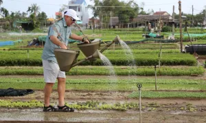 Việt Nam trong top 5 điểm khách châu Âu thích nhất hè Việt Nam trong top 5 điểm khách châu Âu thích nhất hè