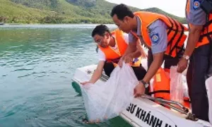 Thả gần 420.000 cá, tôm giống xuống vịnh Nha Trang Thả gần 420.000 cá, tôm giống xuống vịnh Nha Trang