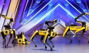 Đàn chó robot nhảy ở America's Got Talent Đàn chó robot nhảy ở America's Got Talent