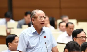 Đại biểu Quốc hội: Chỉ nên phát triển trung tâm tài chính quốc tế ở TP HCM Đại biểu Quốc hội: Chỉ nên phát triển trung tâm tài chính quốc tế ở TP HCM