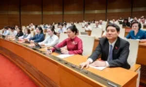 Người nổi tiếng không được quảng cáo khi 'chưa hiểu rõ về sản phẩm' Người nổi tiếng không được quảng cáo khi 'chưa hiểu rõ về sản phẩm'