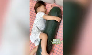 Ôm bí đao ngủ để tránh nóng Ôm bí đao ngủ để tránh nóng