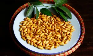 Mẹo rang nhộng tằm tránh dị ứng Mẹo rang nhộng tằm tránh dị ứng