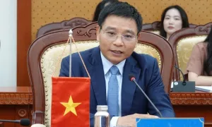 'Việt Nam sẽ sớm đáp ứng tiêu chí nâng hạng thị trường chứng khoán' 'Việt Nam sẽ sớm đáp ứng tiêu chí nâng hạng thị trường chứng khoán'