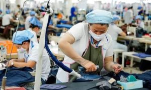 Chậm đóng BHXH cho nhân viên trong bao lâu sẽ bị coi là trốn? Chậm đóng BHXH cho nhân viên trong bao lâu sẽ bị coi là trốn?
