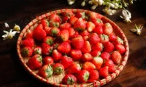 5 món giảm hơi thở có mùi nên ăn thường xuyên 5 món giảm hơi thở có mùi nên ăn thường xuyên